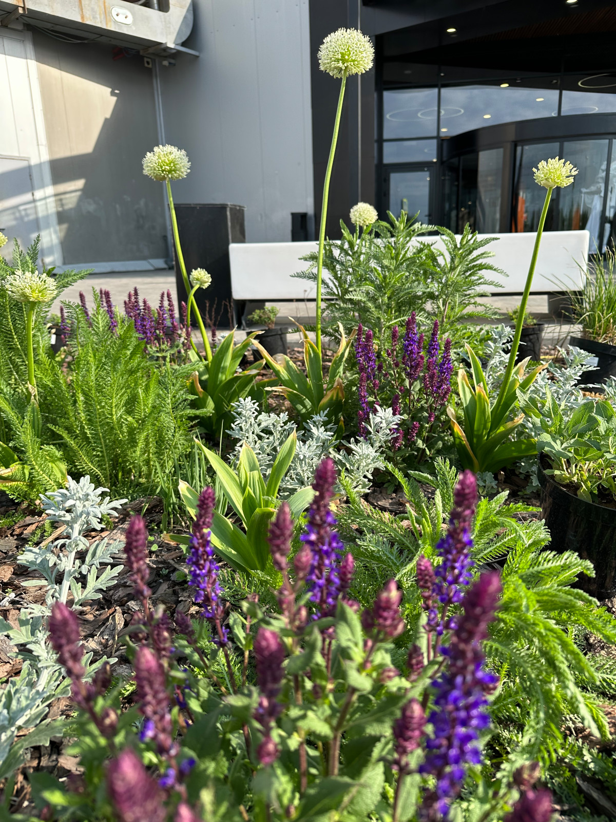 Благоустройство ландшафта торгового центра