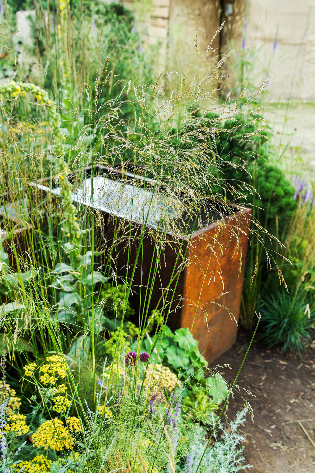 Сад   James Alexander-Sinclair  на Moscow Flower Show 2018  (вне  конкрса)
