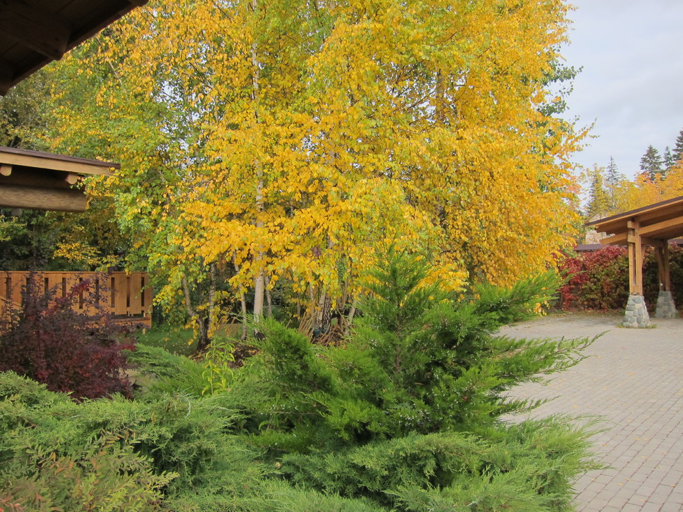 Лесная жизнь