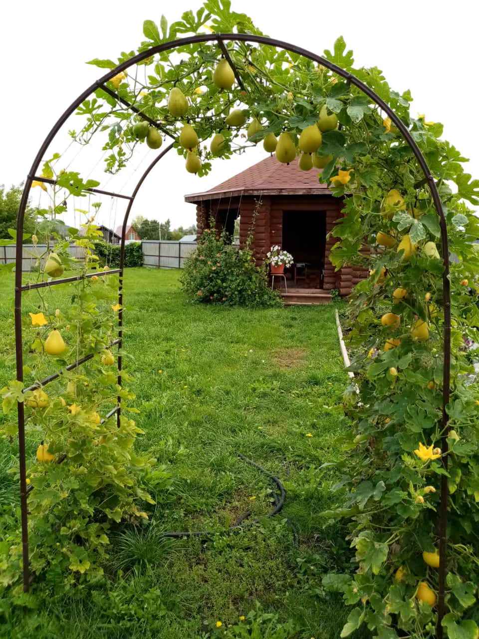 Обложка альбома: Наличники