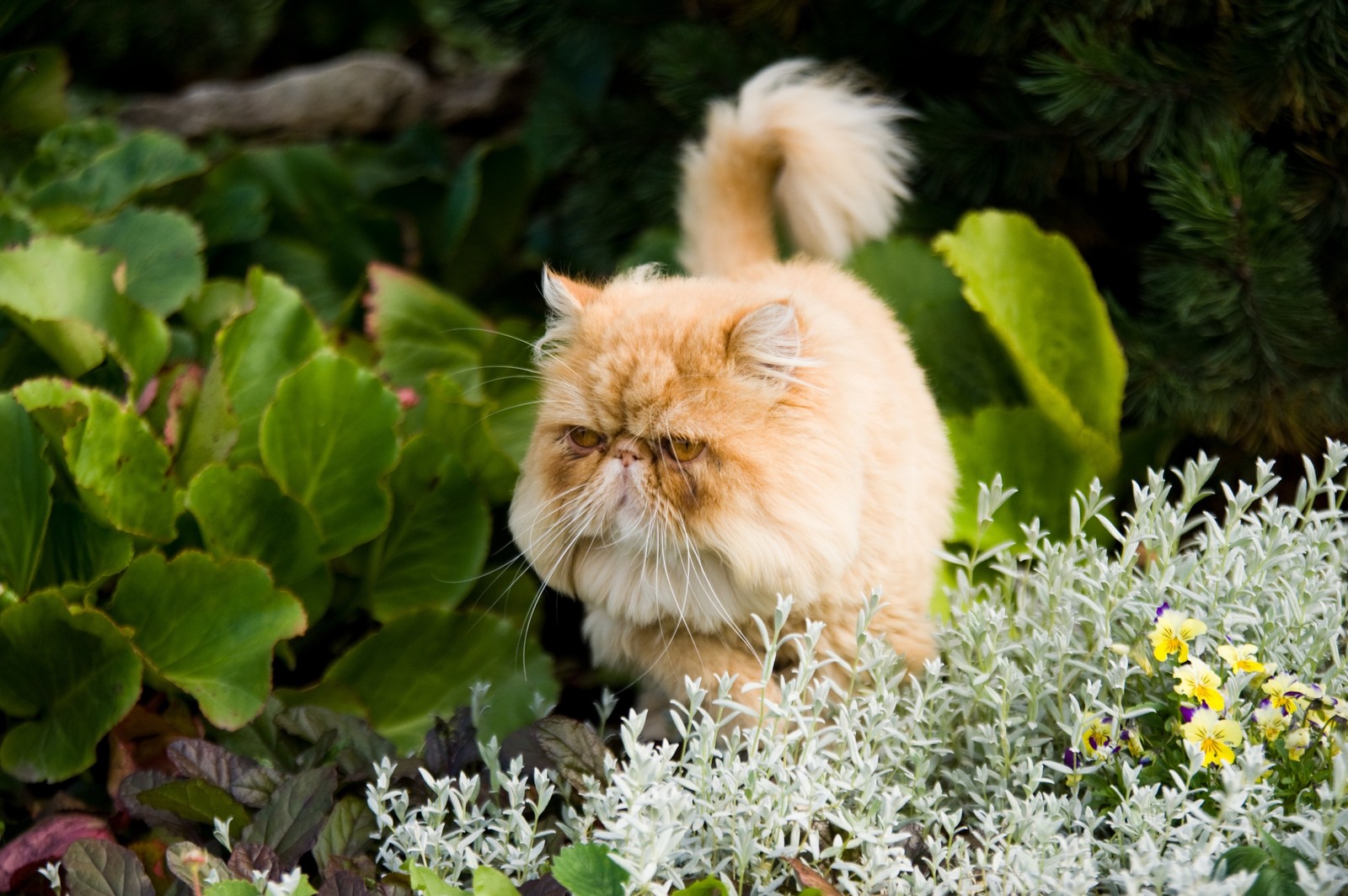 Наши работы