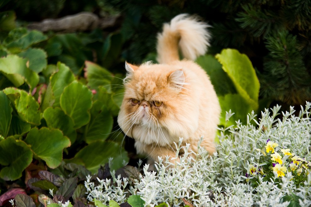 Наши работы