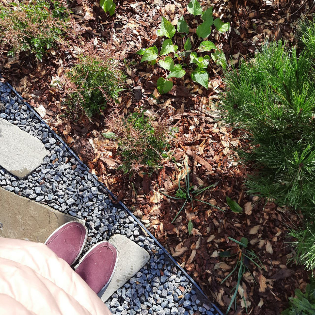 Сад с голубой скамьёй