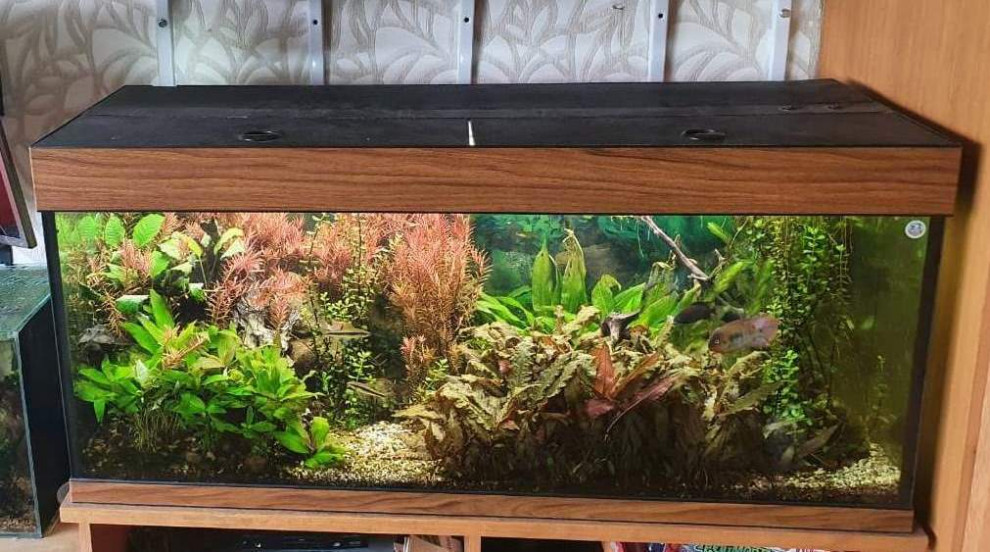 Природный аквариум