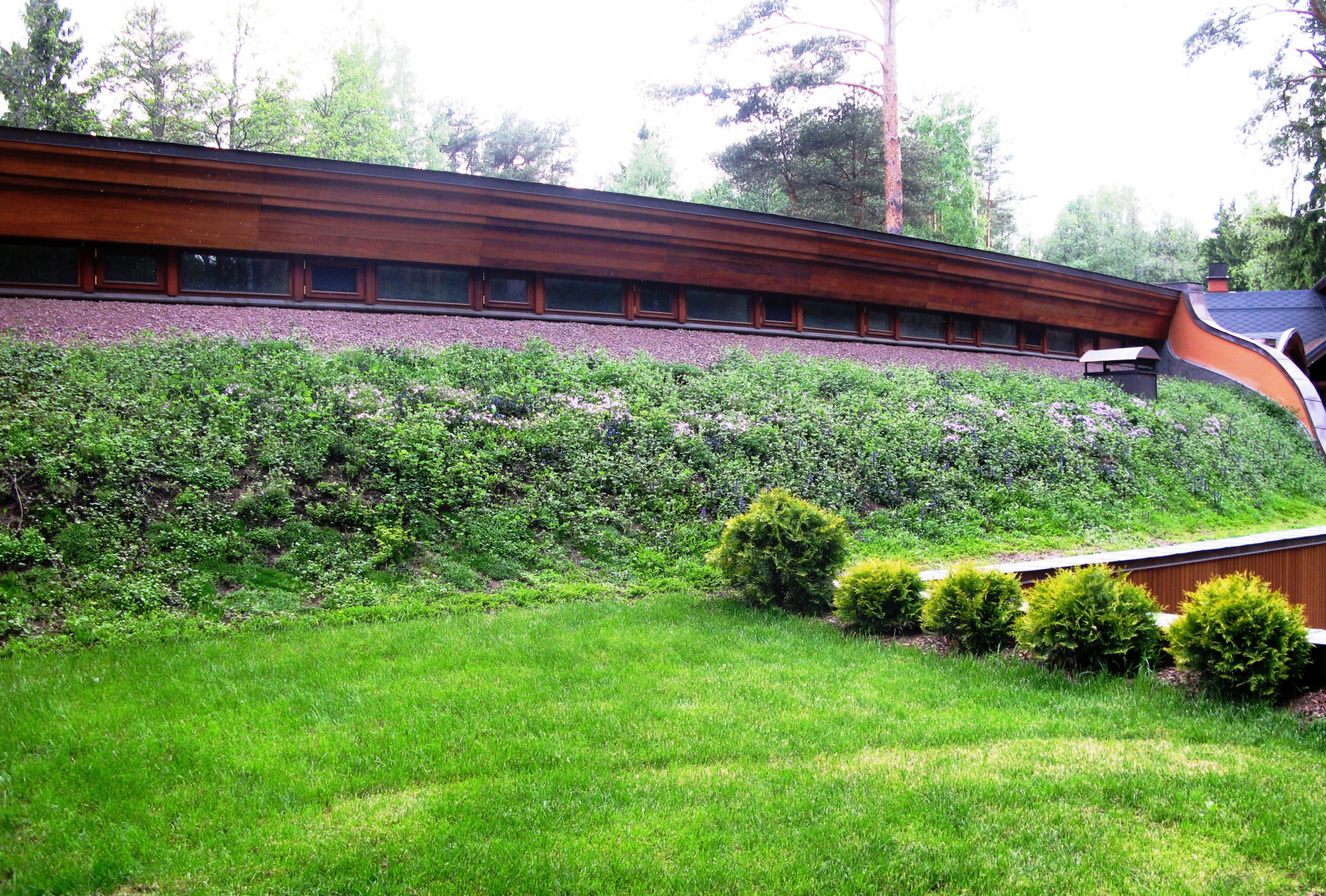 Средиземье в знаменитом Репино