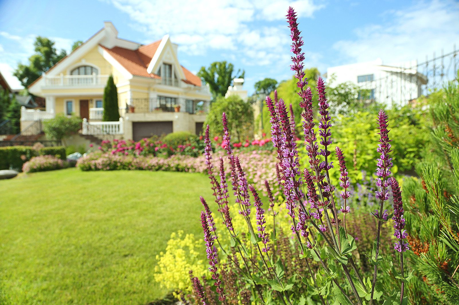 Средиземноморский