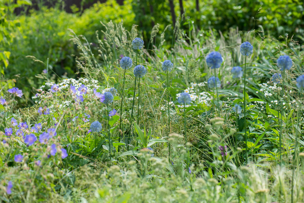 Цветник в  природном стиле  (" New Perennials"  или "Новая волна")