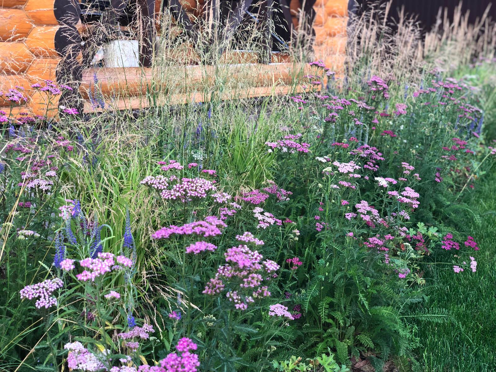 Русские Забавы, июнь 2018