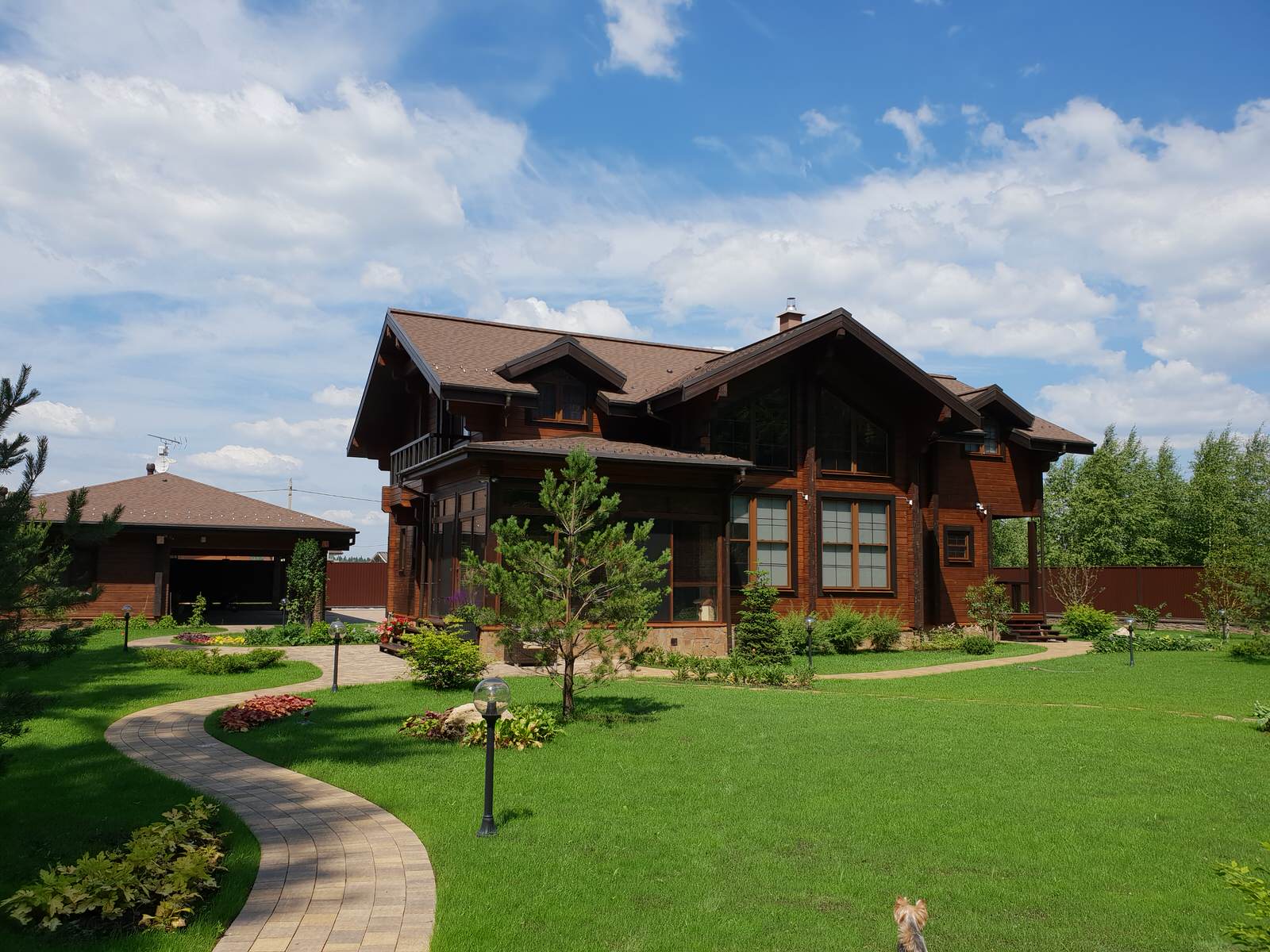 Обложка проекта: Лесная зона.