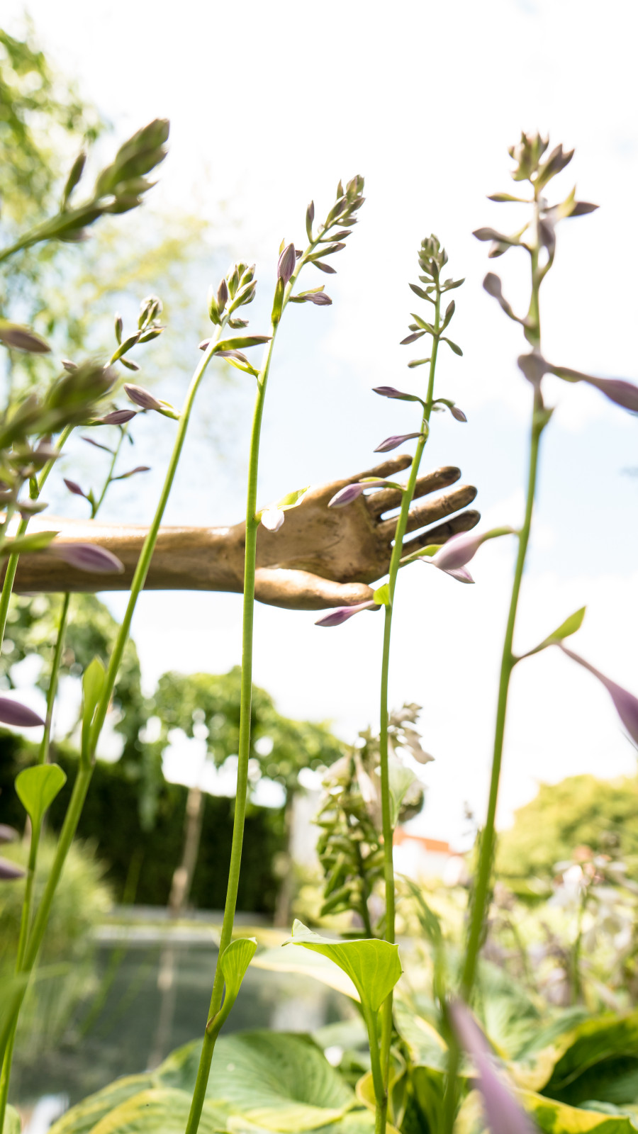 Выставочный сад "Тайны соблазна"