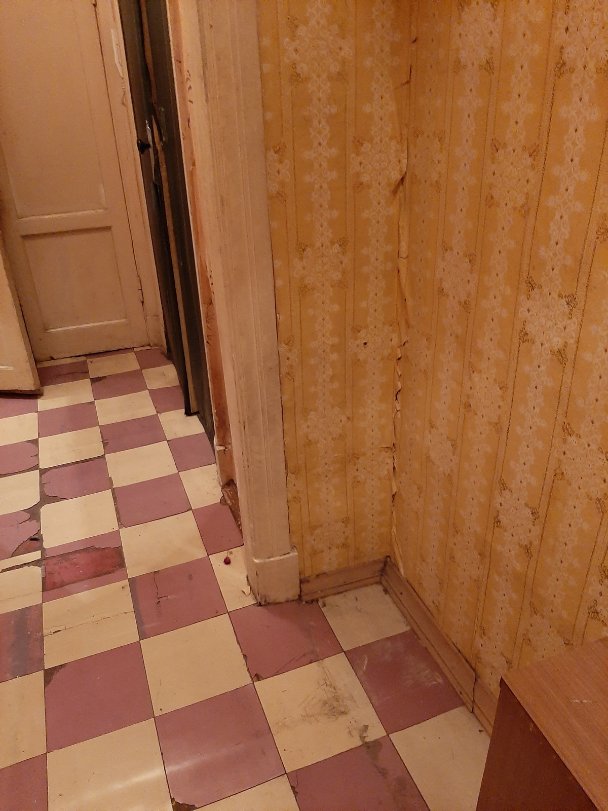 50 метров Новой классики