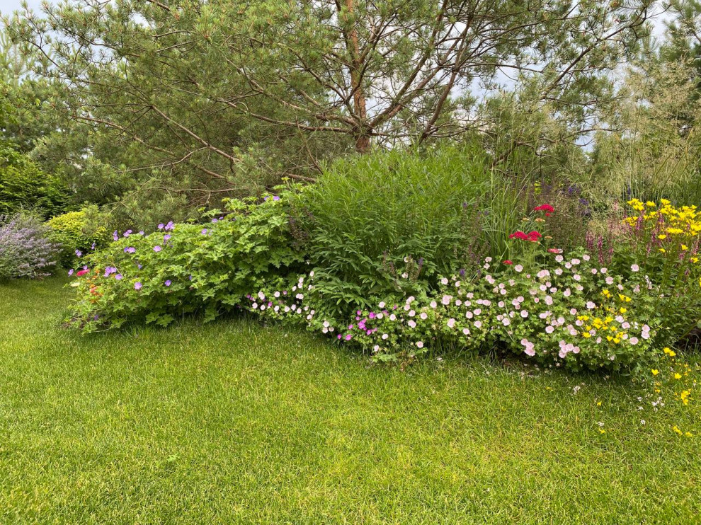 КП Пестово "Evergreen'