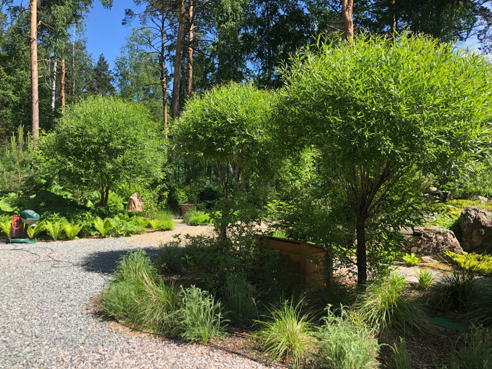 Усадьба на краю леса