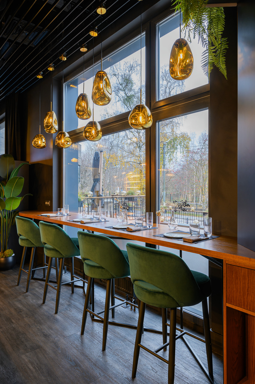 Озеленение ресторана Gravlaks (г. Светлогорск)