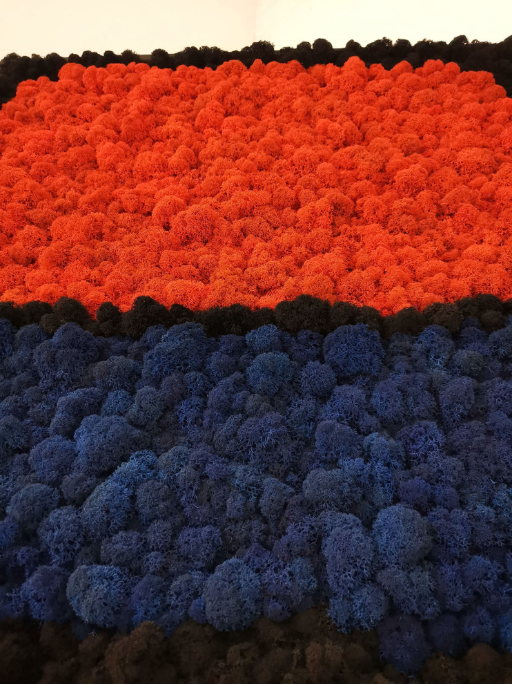 Расширяя горизонты