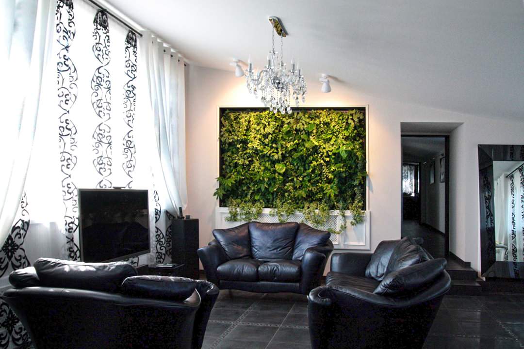 Ася Анистратенко