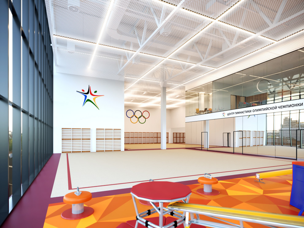 Центр Художественной гимнастики Юлии Барсуковой г. Санкт-Петербург