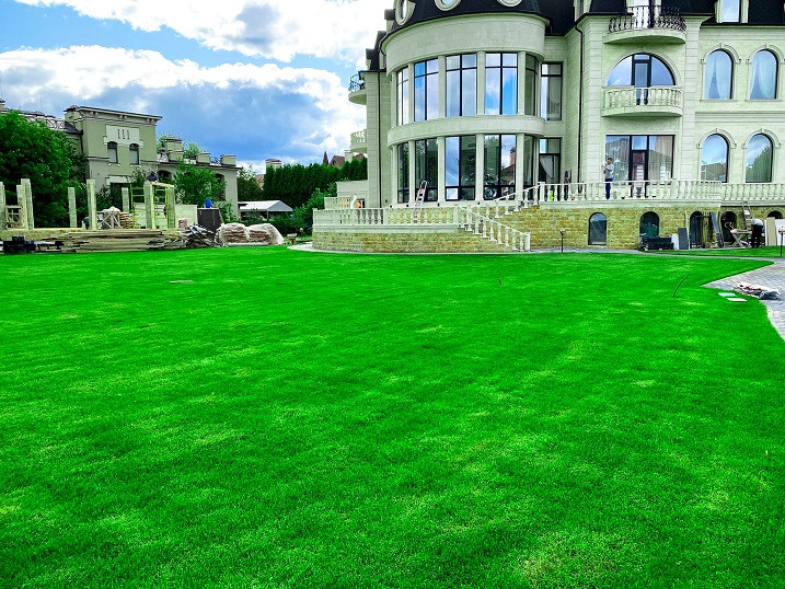 Обложка проекта: Создание рулонного газона