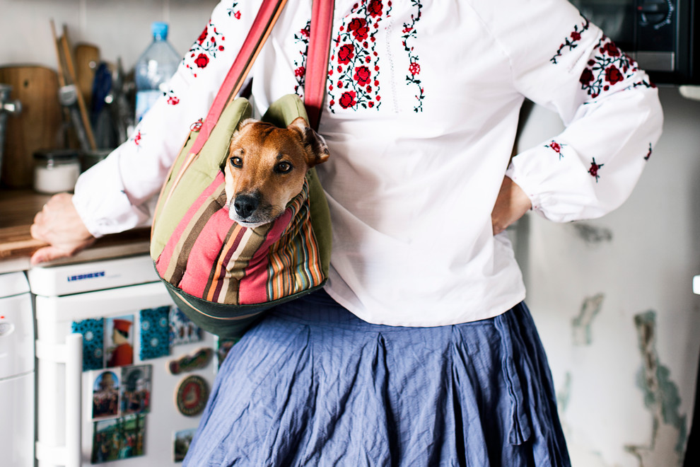 Мир дизайна: 10 счастливых питомцев и их места обитания в доме