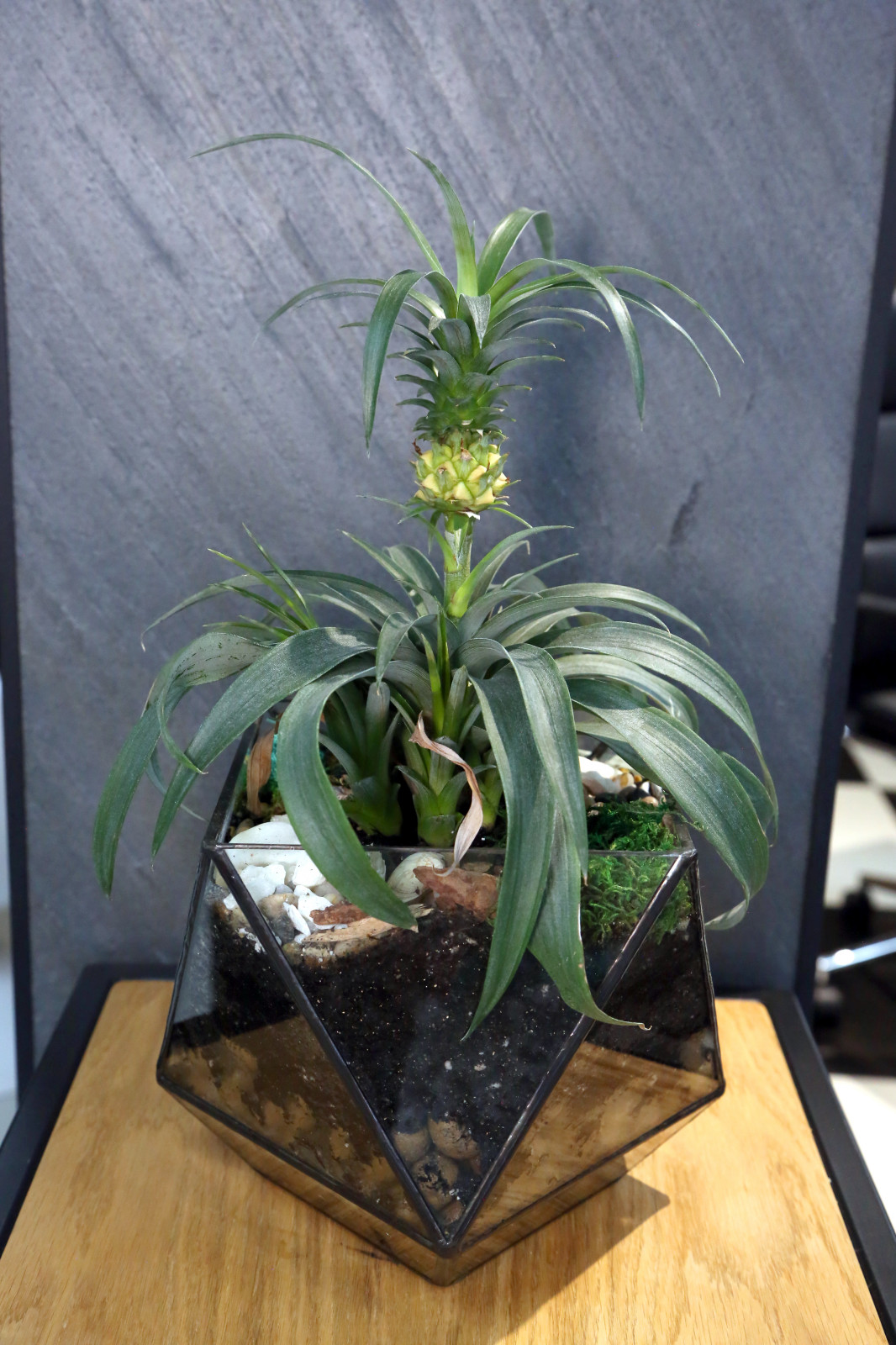 Парашютный центр в городе Адлер