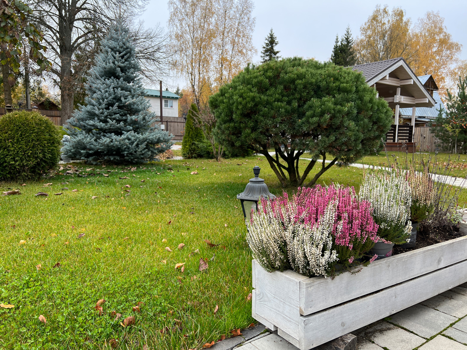 Красота в деталях