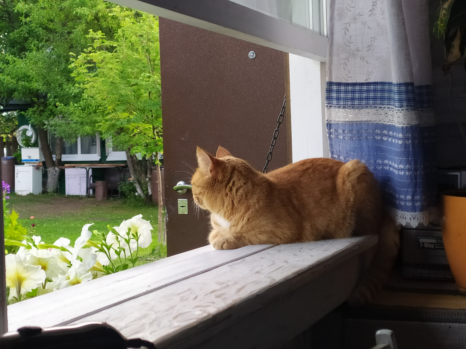 Обложка проекта: Домик в Жулановском