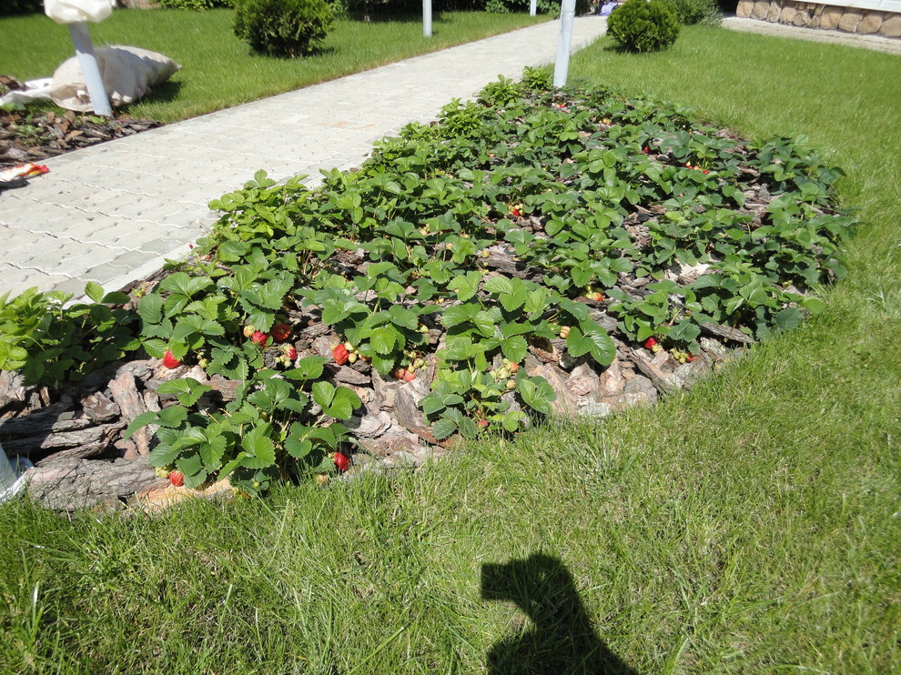 Благоустройство участка