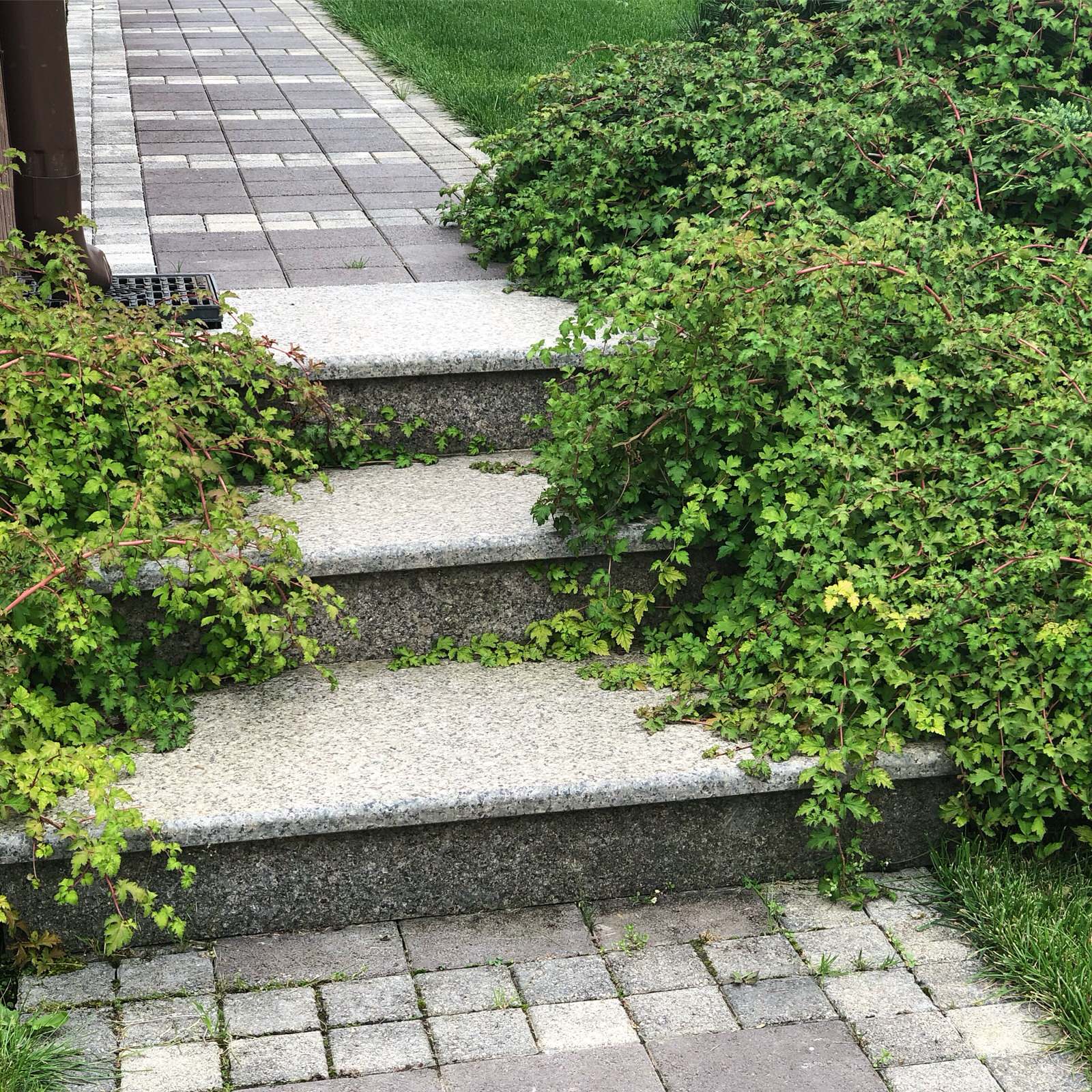 ступени в саду