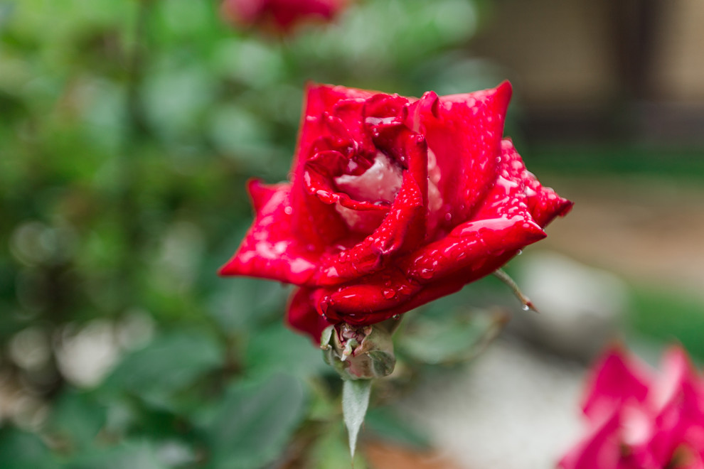 Экстерьер загородного дома