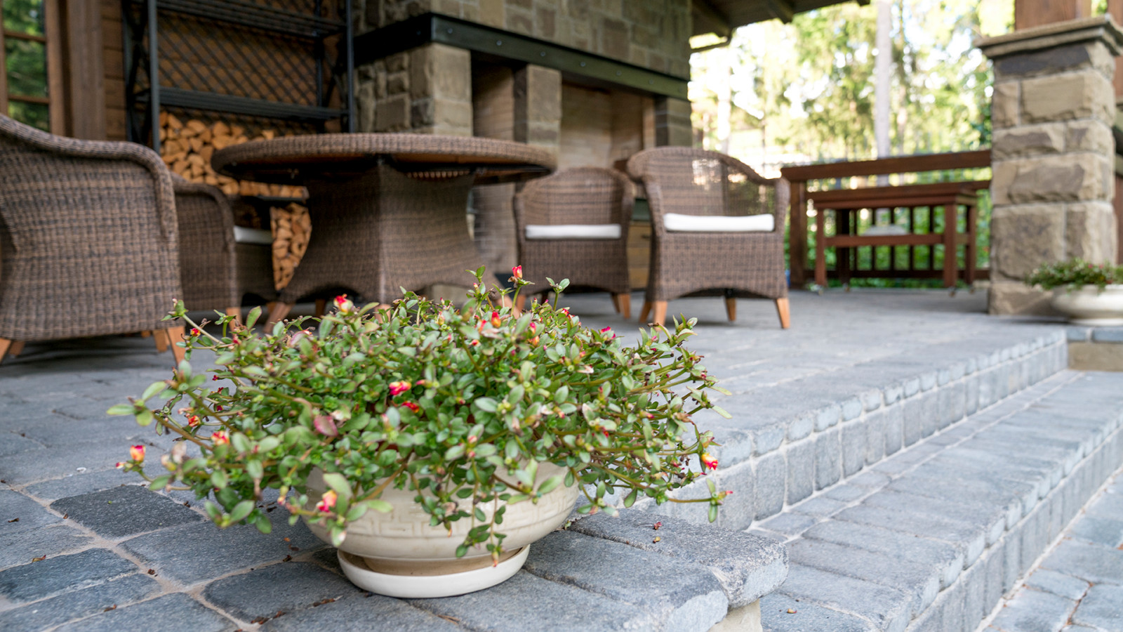 Мечта об Альпах. КП "Вымпел", Новорижское шоссе. 2017 г.