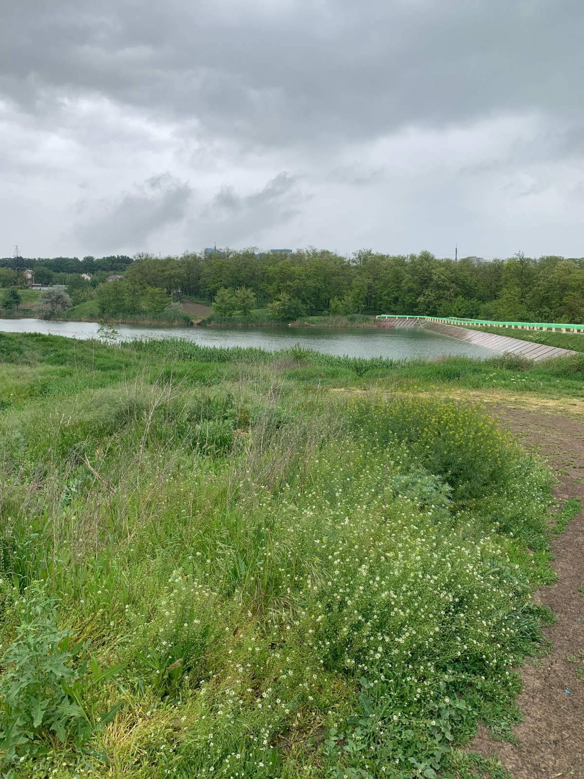 Баса отдыха. Кумжинской роща, берег Дона