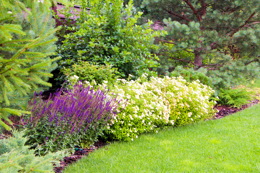 Петровское, 2018-2020 гг.