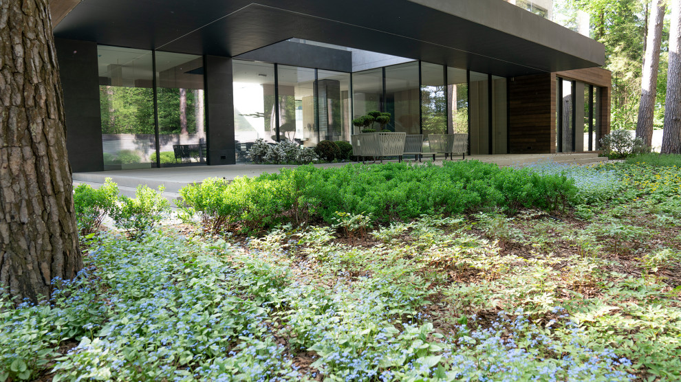 В гармонии с лесом. Модернистский сад. КП Новоуспенский 2020 г