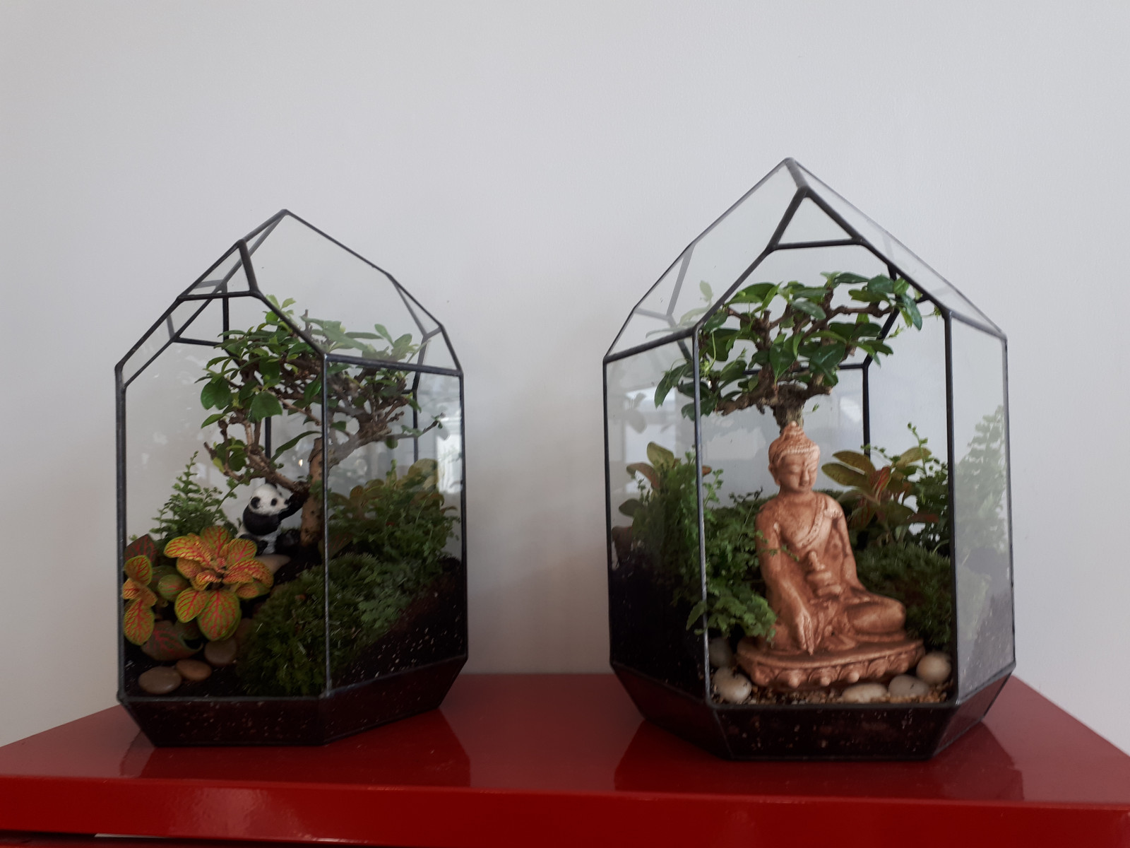 Настольные флорариумы