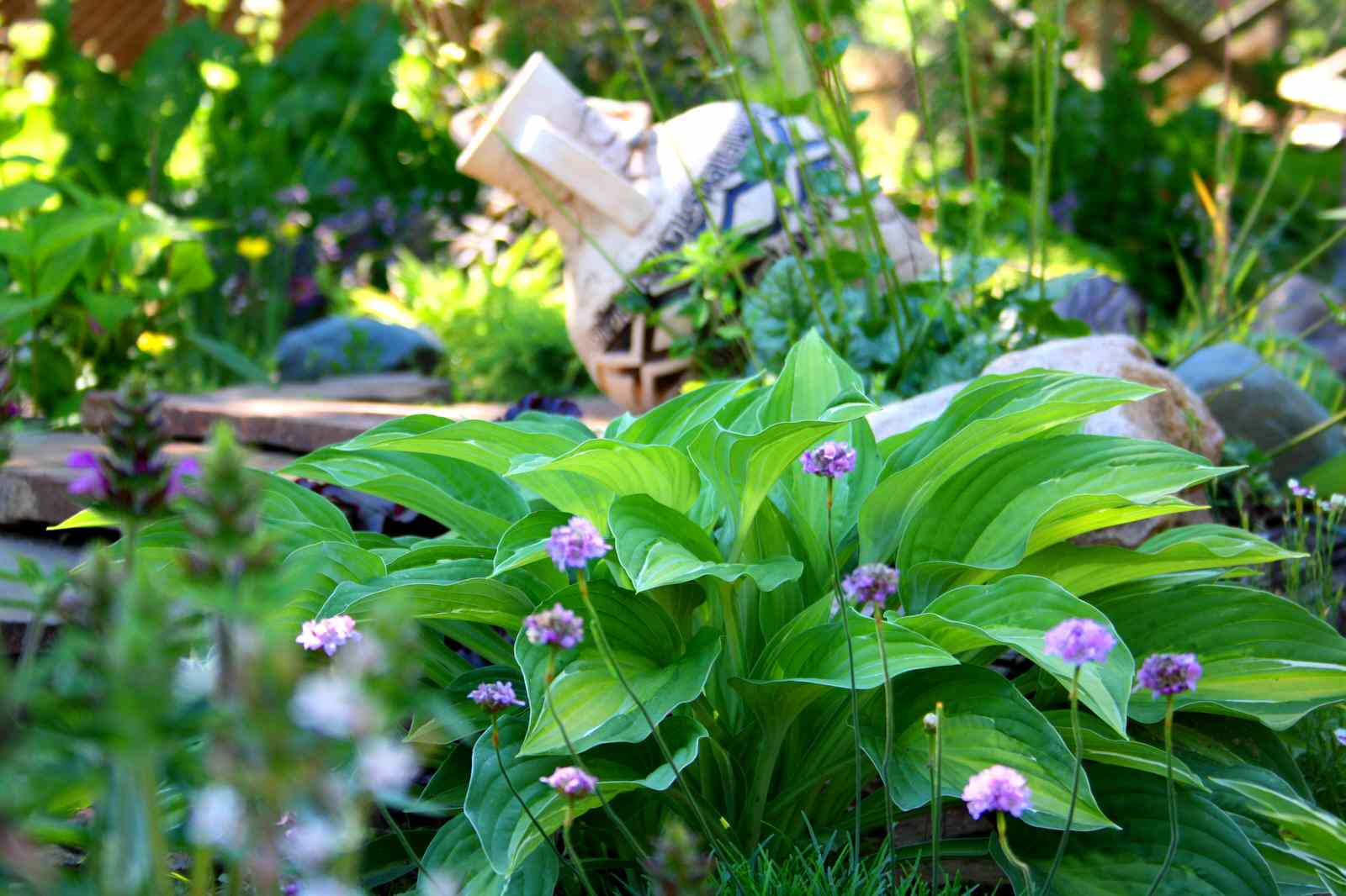 Альпинарий