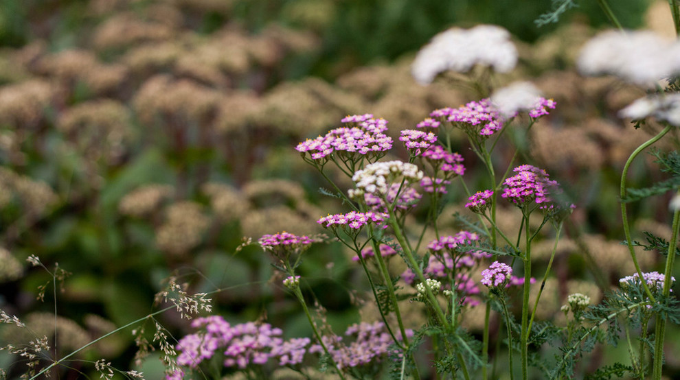 Оттенки синего