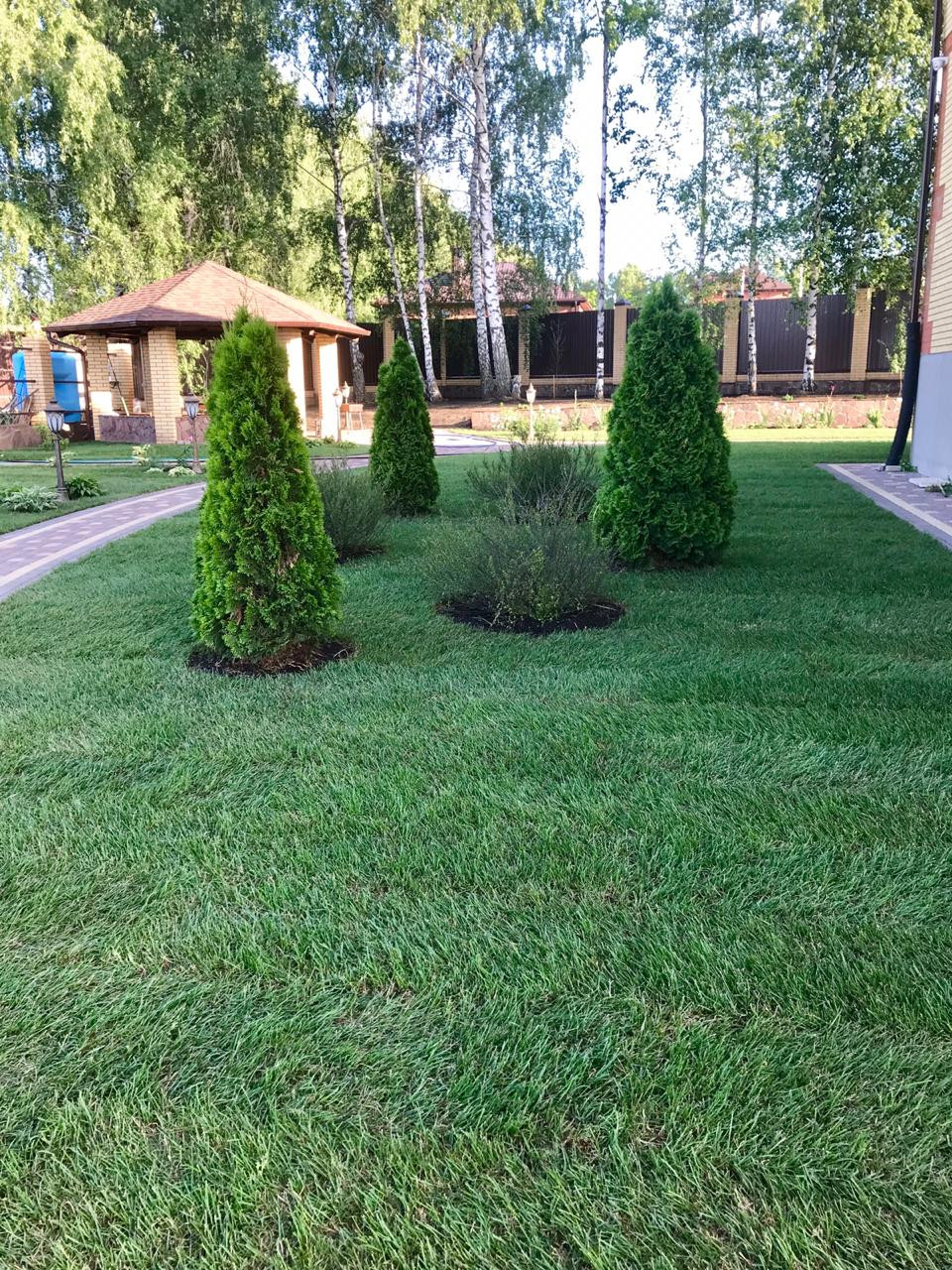 Landscape design of the territory (Oryol region)