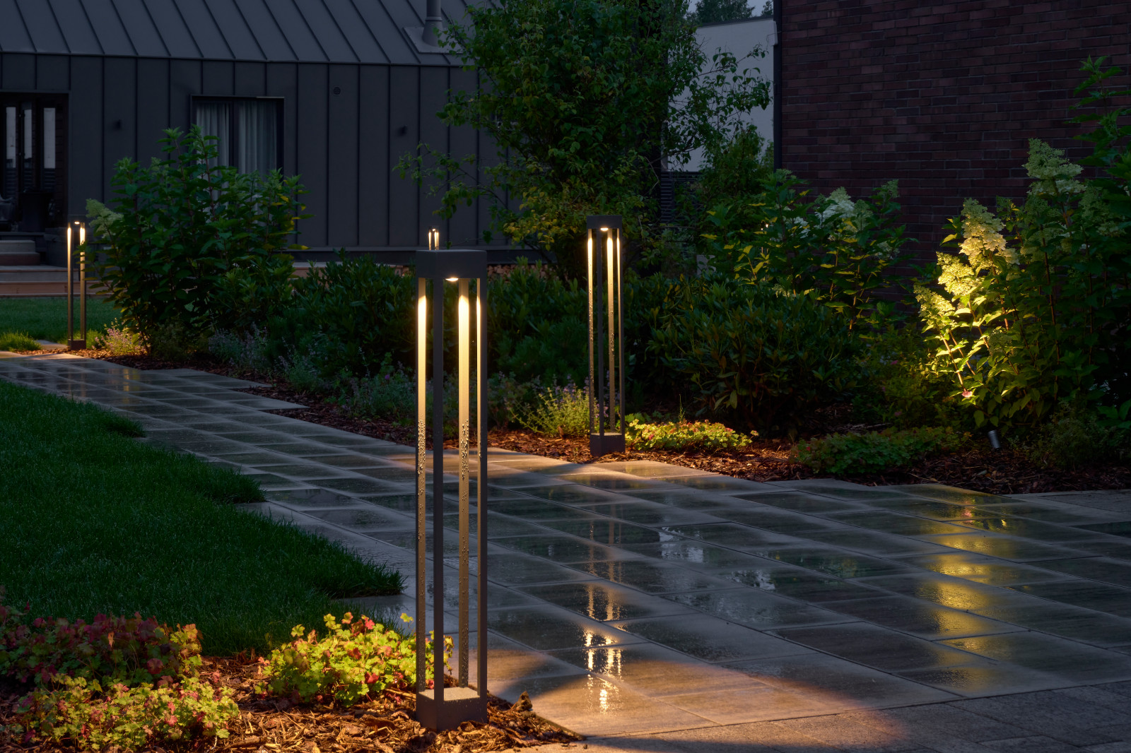 Обложка проекта: Репино парк