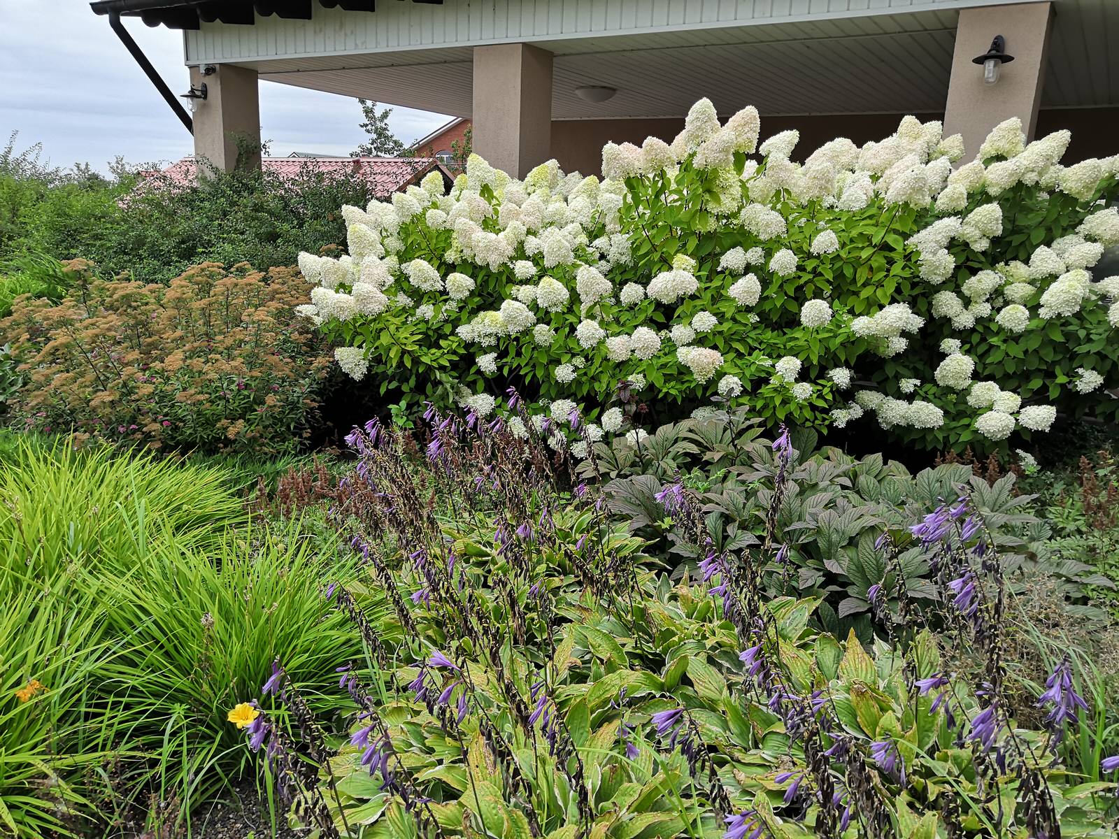 Сад на двух ярусах