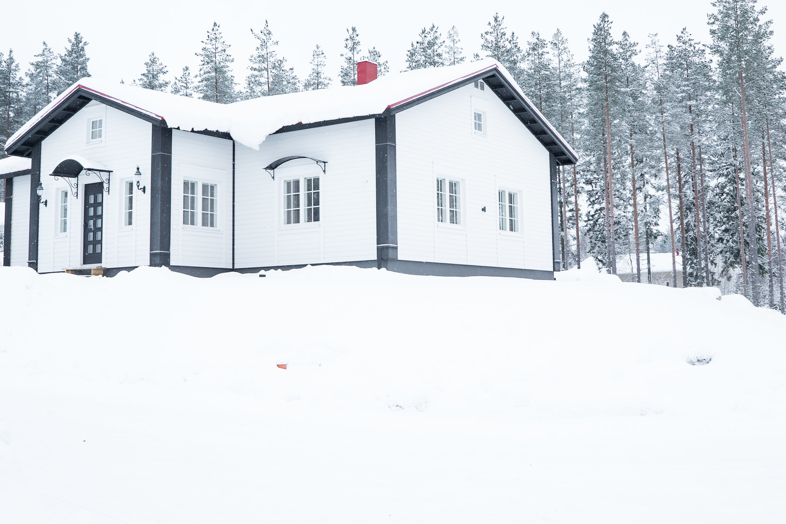 Экстерьер. Покрашенные объекты