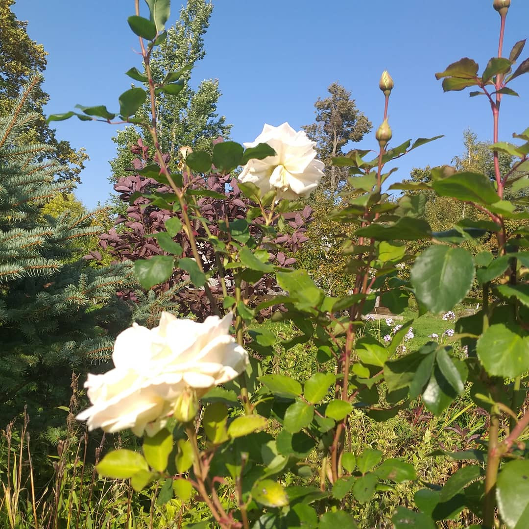 Реализация