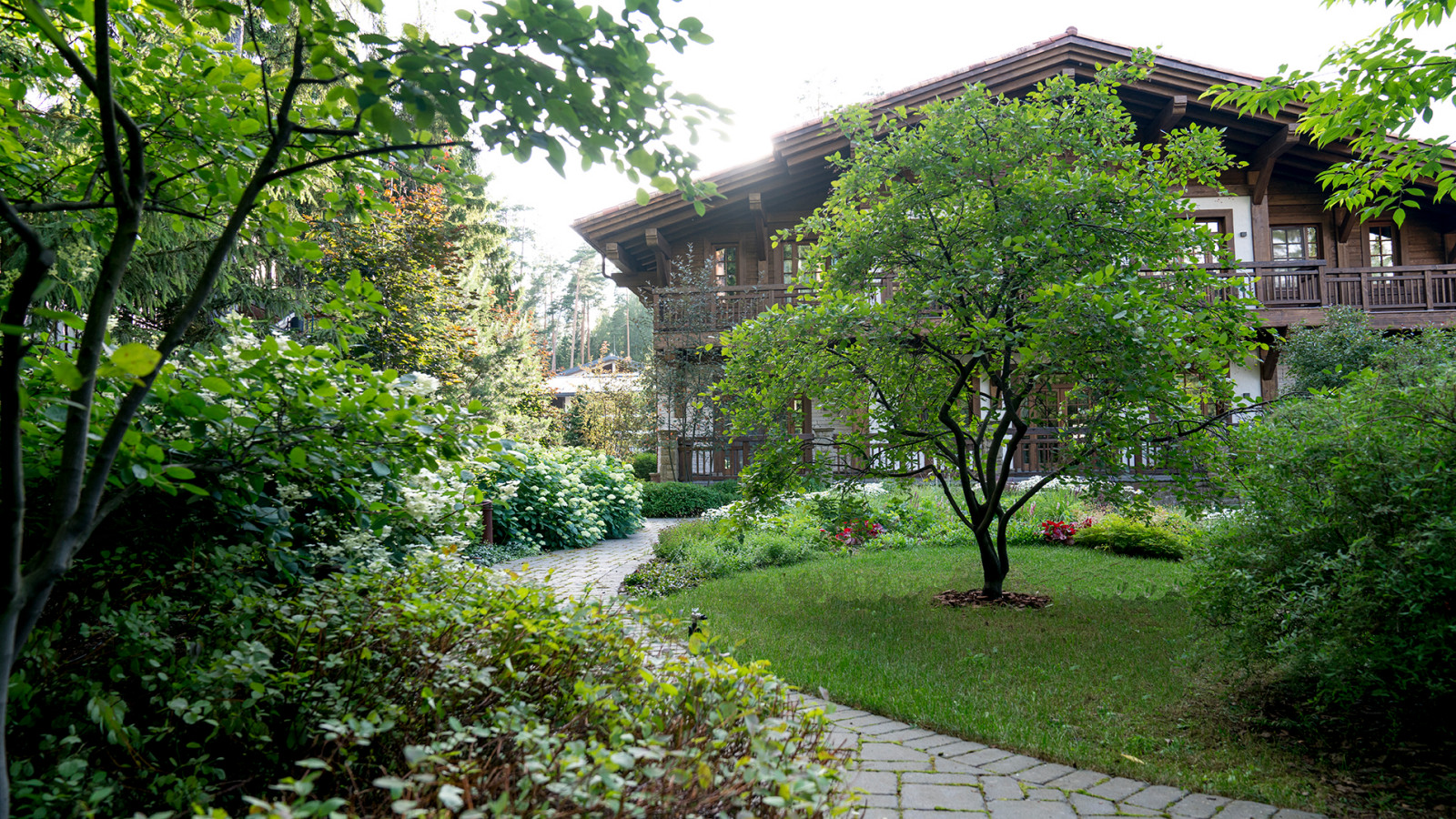 Мечта об Альпах. КП "Вымпел", Новорижское шоссе. 2017 г.