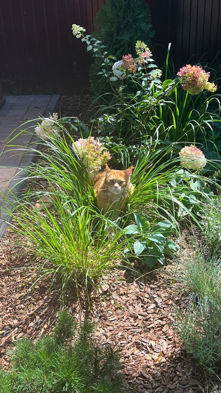 Летняя квартира (п. Удельная)