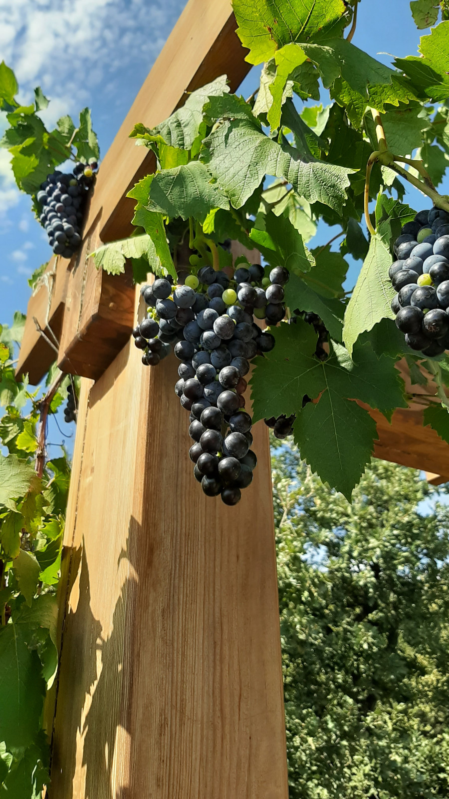 Ландшафтный дизайн