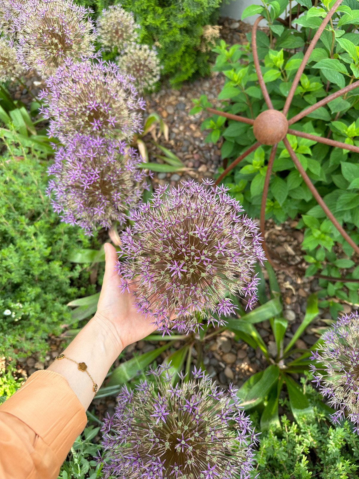 Современный сад