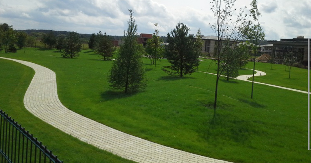 Посадка крупномеров. Лиственница, сосна, липа, клён, дуб, плодовые.