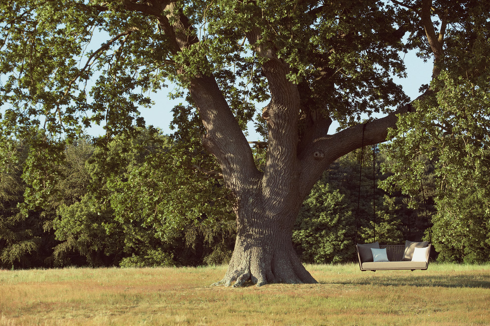 Работа над ошибками: Что пошло не так с деревьями
