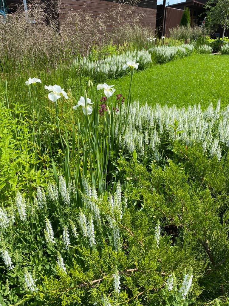 КП Альфа Терехово