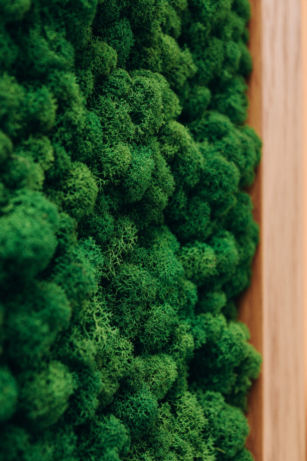 Обложка проекта: квартира - студия. 35 м.кв