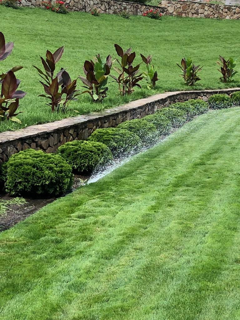 Обложка проекта: Парк Лога (Ростовская область)